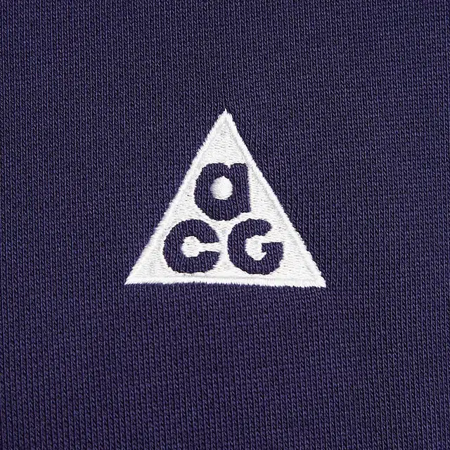 Nike Fleece Pullover Hoodie Purple Ink