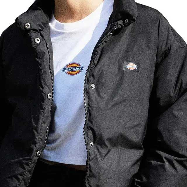 Dickies DK0A87CABLK