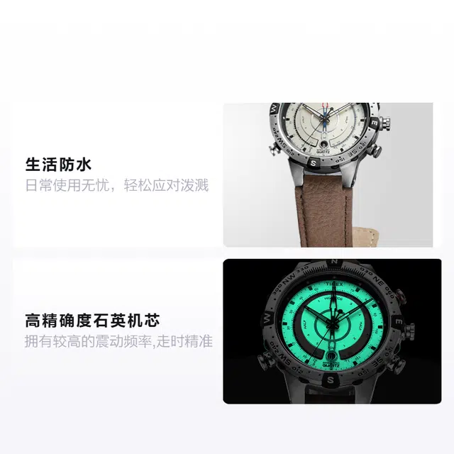 Timex Expedition T2N721