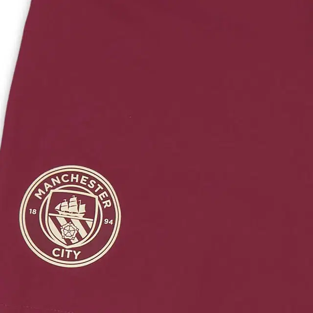 PUMA Manchester City 2024-25 logo