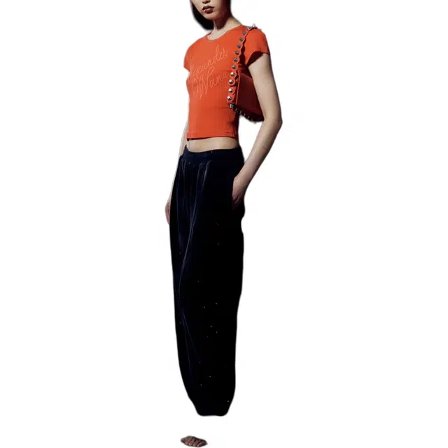 alexander wang FW24 T