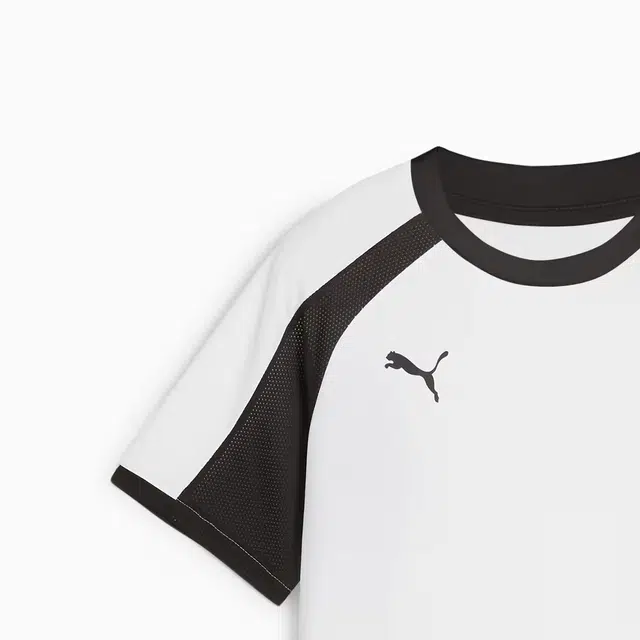 PUMA INDIVIDUALLIGA T