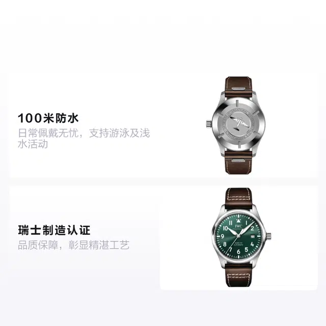 IWC Pilot's Watch IW328205