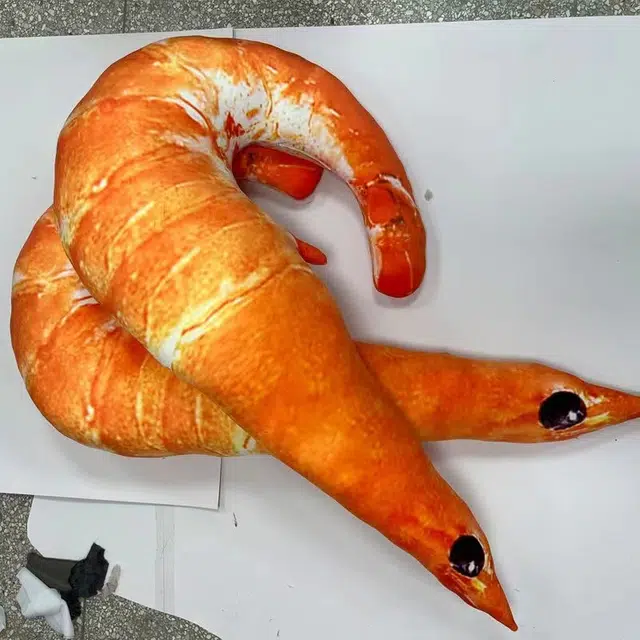 50cm85cm130cm