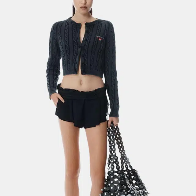 alexander wang SS25 Logo