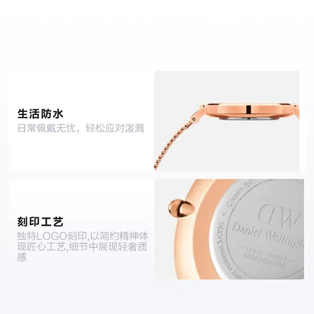 Daniel WellingtonPETITEDW DW00100303