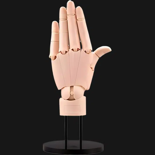 HAND MODEL 21cm
