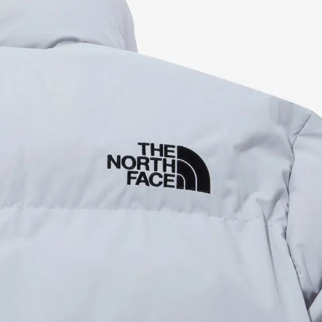 THE NORTH FACE Aspen Ex On Ball Jacket Logo