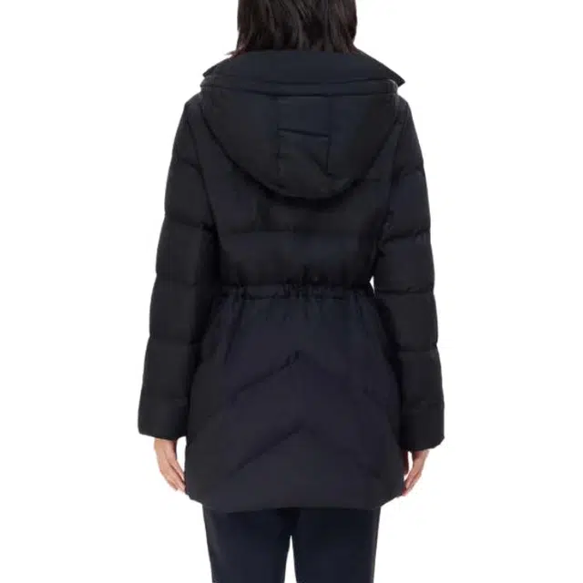 AIGLE