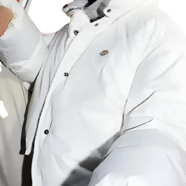Dickies DK0A87CAC48