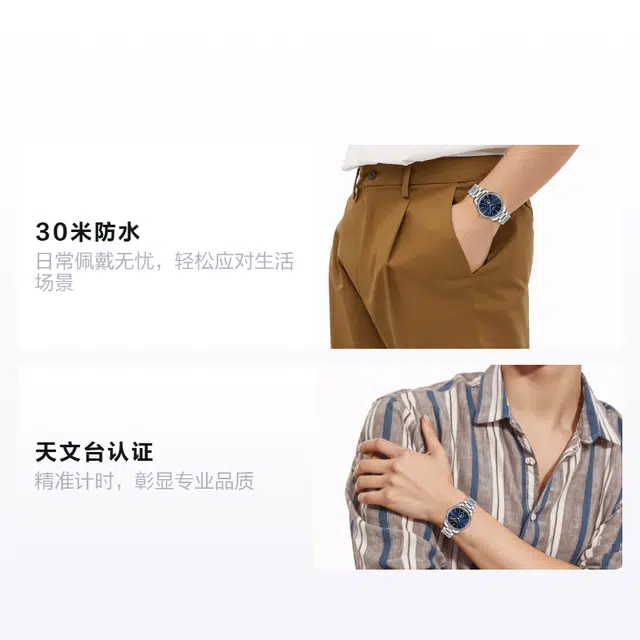 Longines Master Collection L2.919.4.92.6