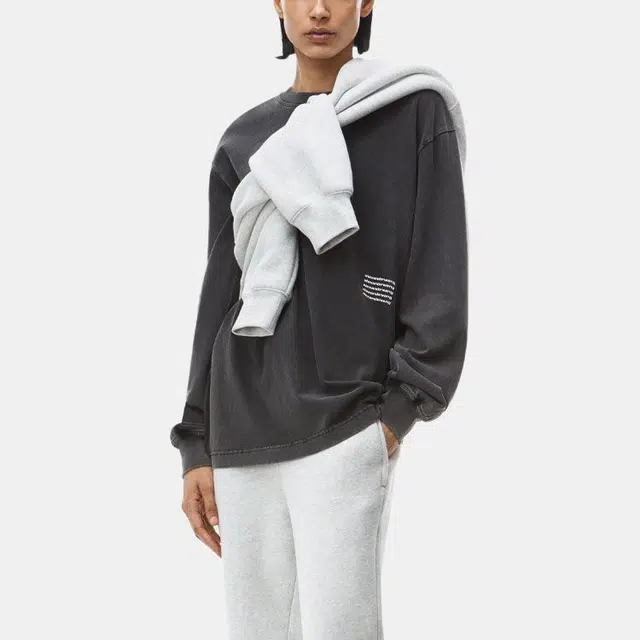 alexander wang Logot