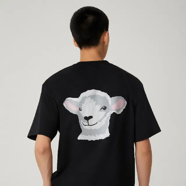 SANJQ LINGNAN CULTURE T