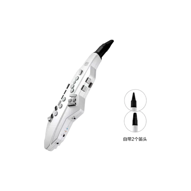 Roland AE05C" Aerophone