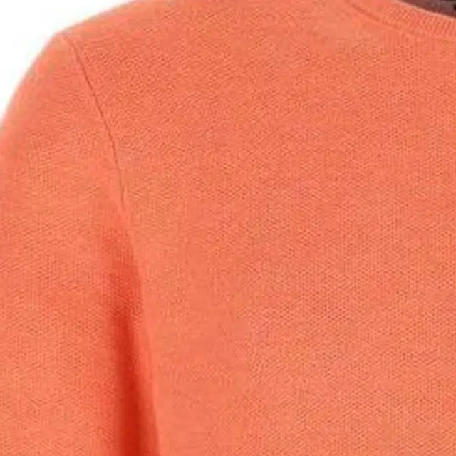 Polo Ralph Lauren Logo