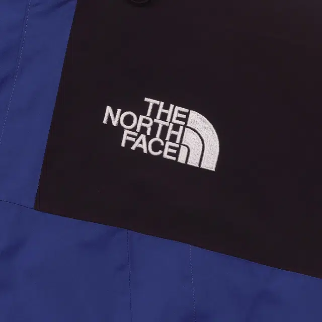 THE NORTH FACE 1990 GTX Gore-TexLogo