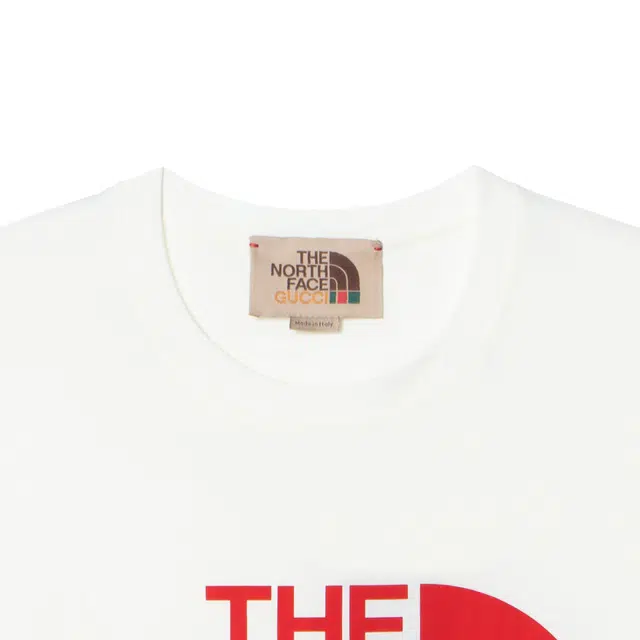 GUCCI x THE NORTH FACE SS22 T