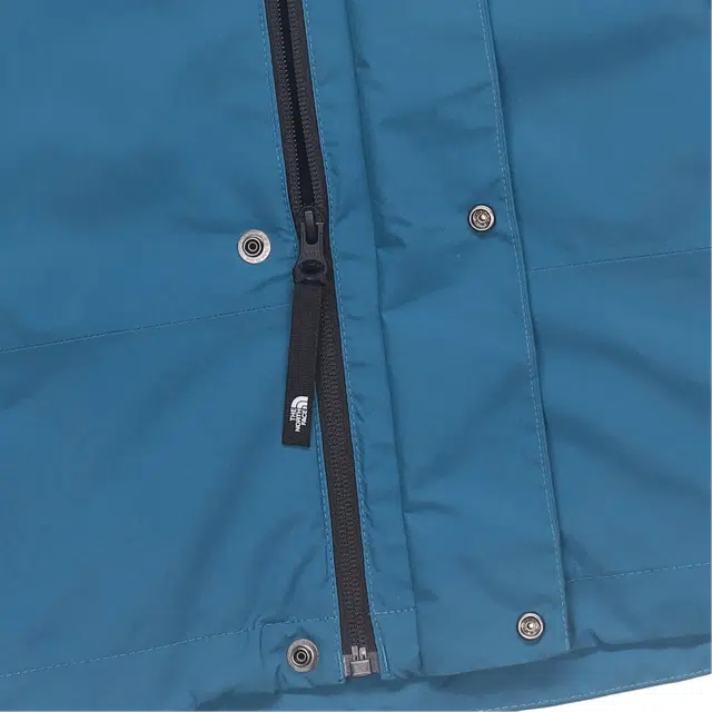 THE NORTH FACE GTX MOUNTAIN JACKET 10Logo
