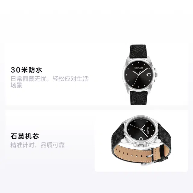 COACH Greyson 14504112