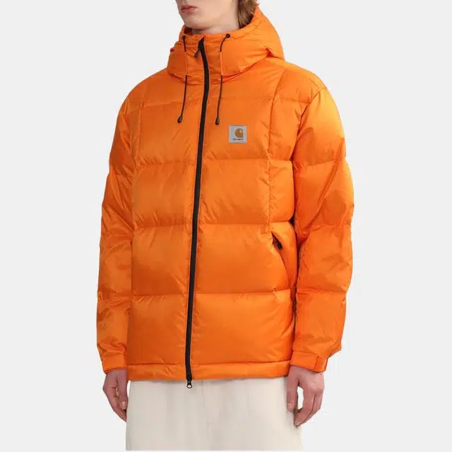 Carhartt WIP FW24 LOGO