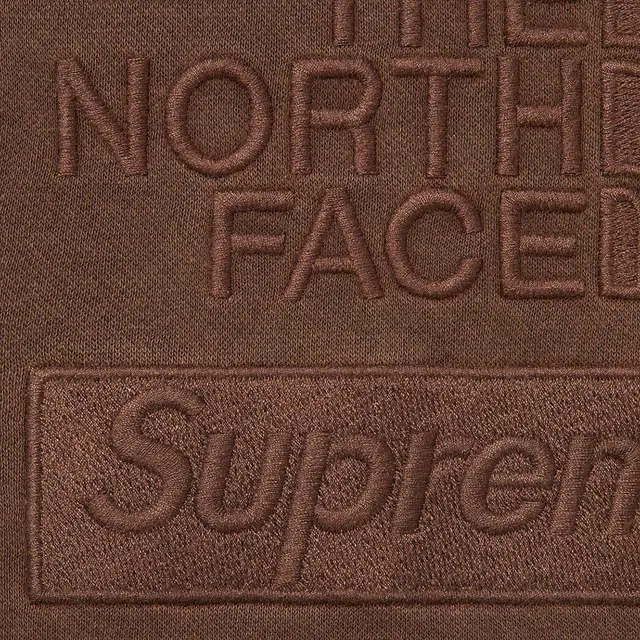 Supreme FW22 Week13 Supreme Pigment Printed Hooded Sweatshirt
