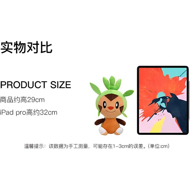 29cm