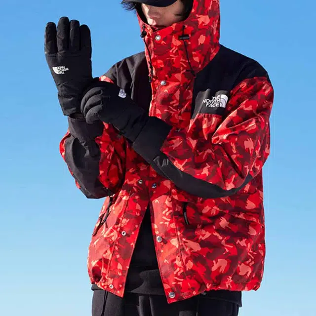 THE NORTH FACE ICON 1986 Logo