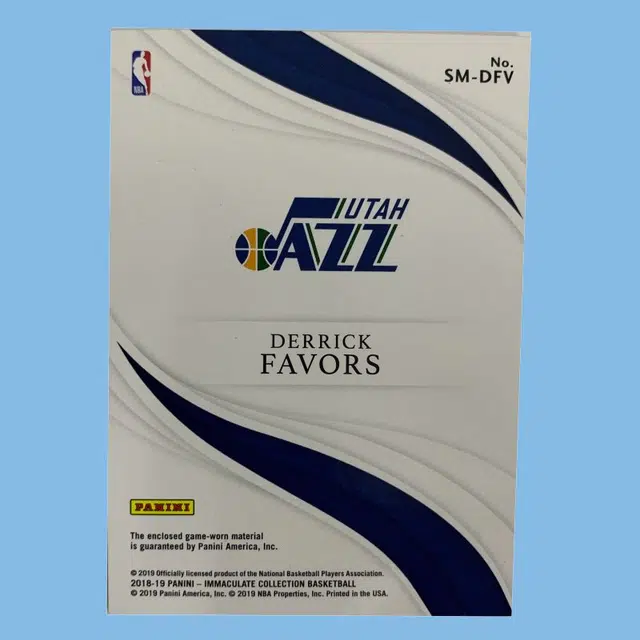 PANINI 2018-19 patch 1325