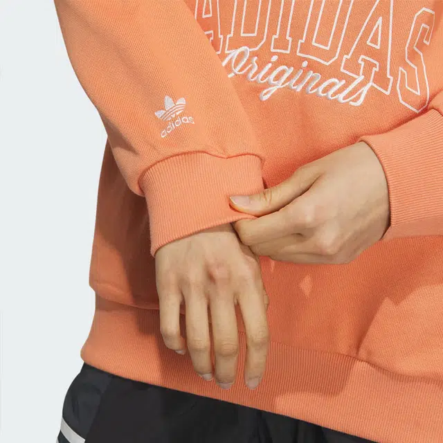 adidas originals Sportswear Hoodie Logo