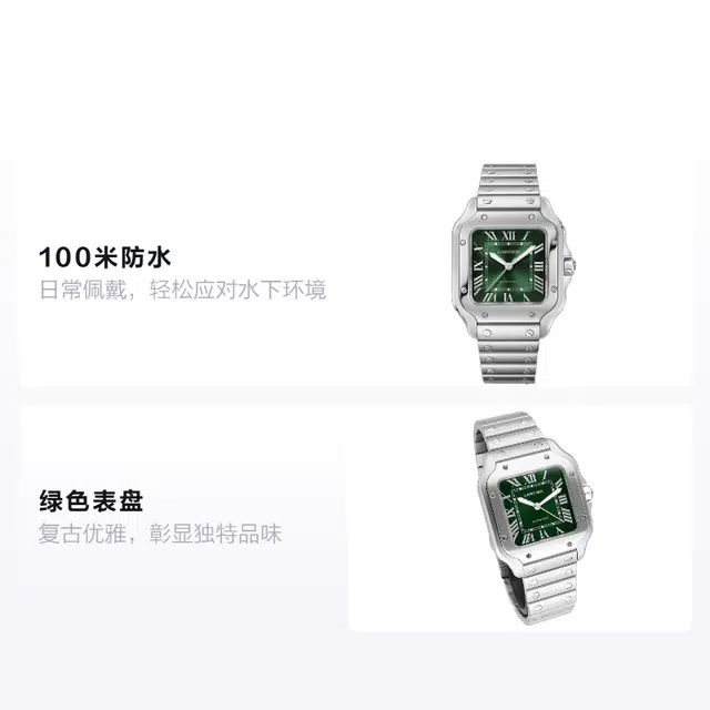 Cartier Santos WSSA0061