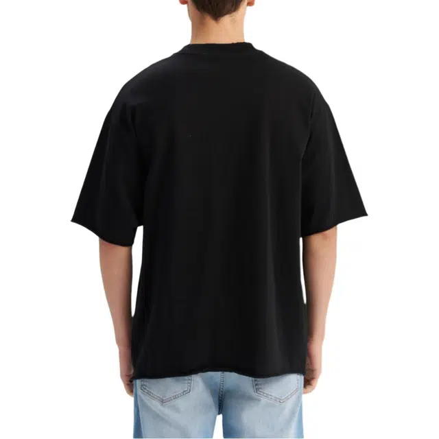 levis T