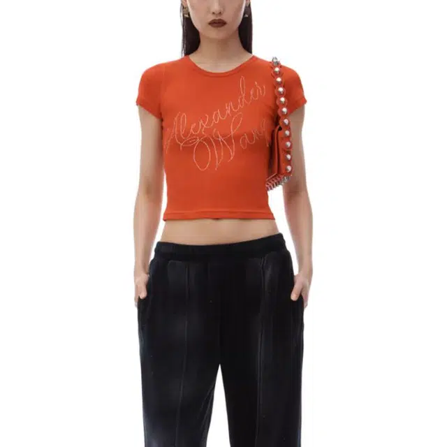 alexander wang FW24 T