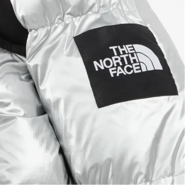 THE NORTH FACE W'S Novelty Nuptse Down Jacket Se