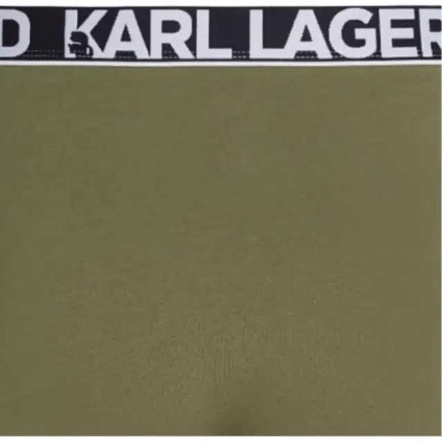 KARL LAGERFELD SS25 Logo