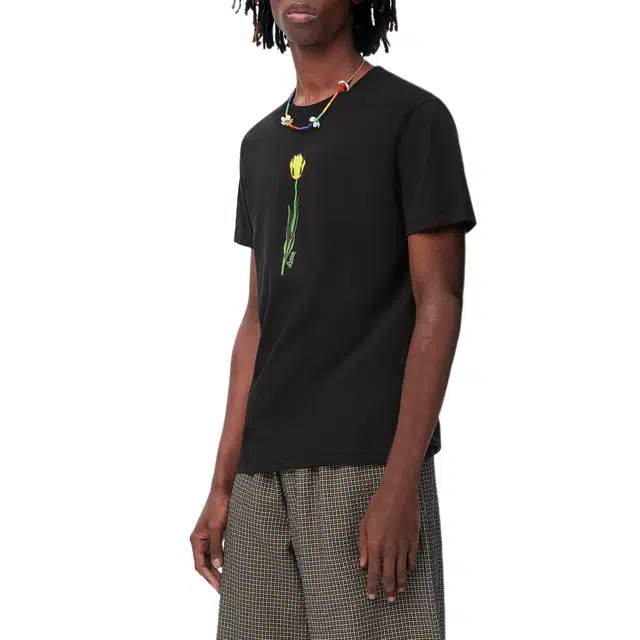 LOEWE T