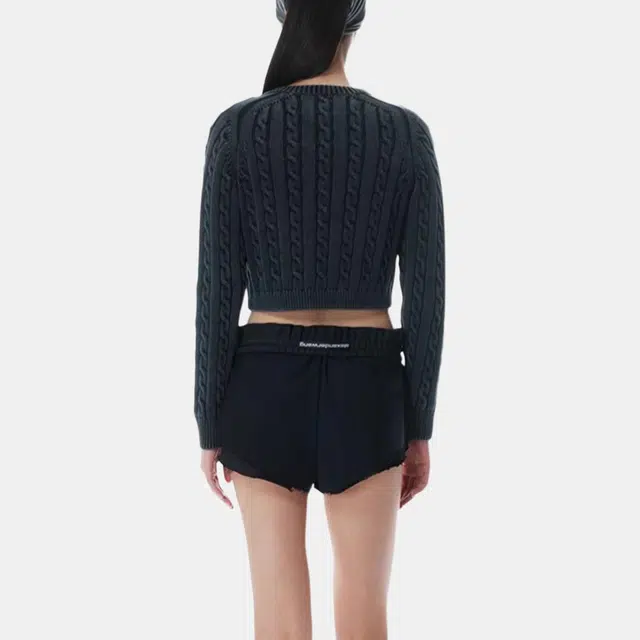 alexander wang SS25 Logo