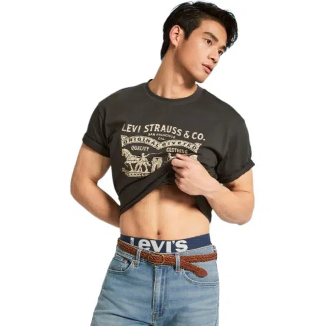 levis T