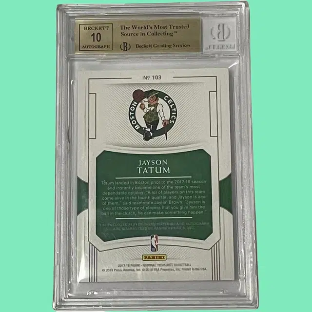 PANINI RPA BGS9.510 4299