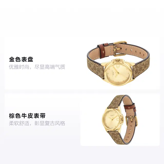 COACH Greyson C 14504107