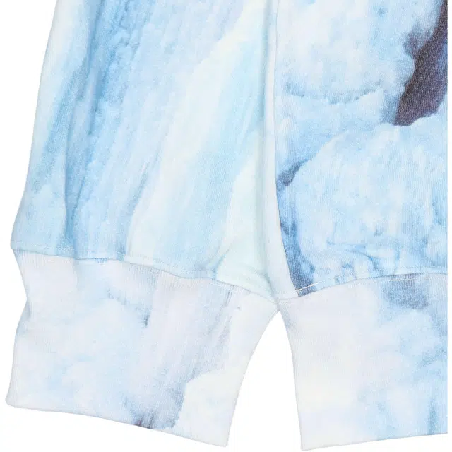 Supreme SS21 Week 5 x The North Face Ice Climb Hooded Sweatshirt