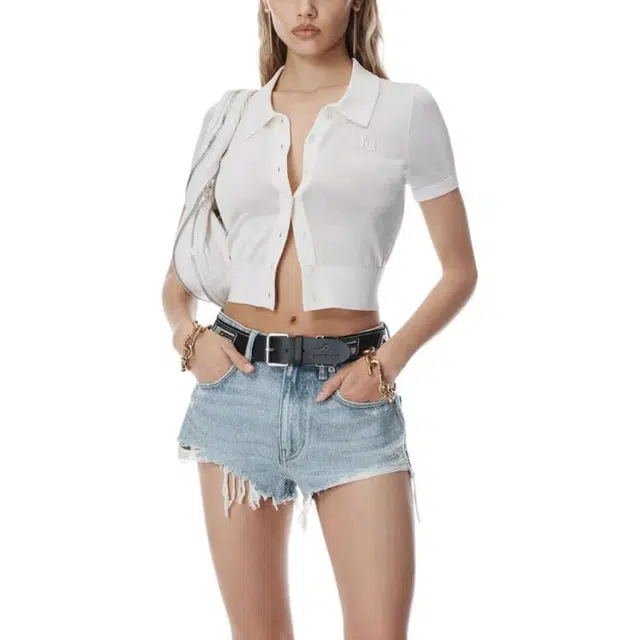 alexander wang FW24 Polo