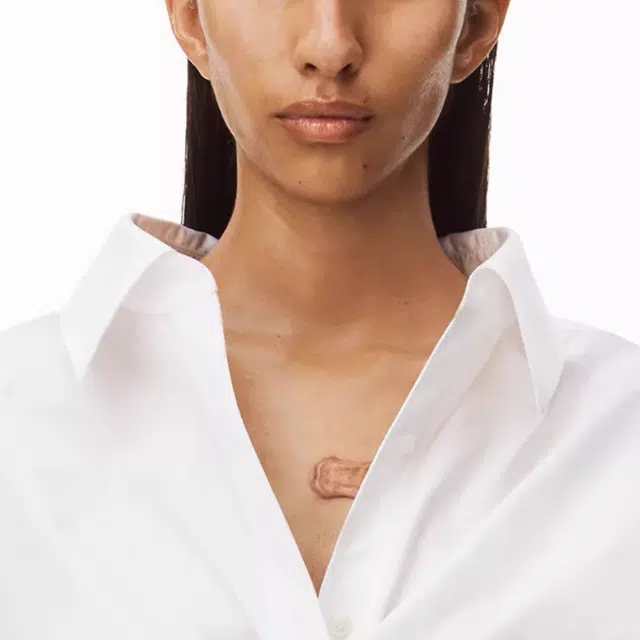 alexander wang SS23 V