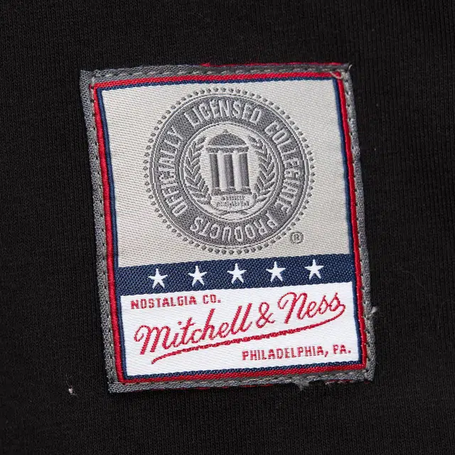 Mitchell Ness x NCAA Tulane Green Wave Ringer T