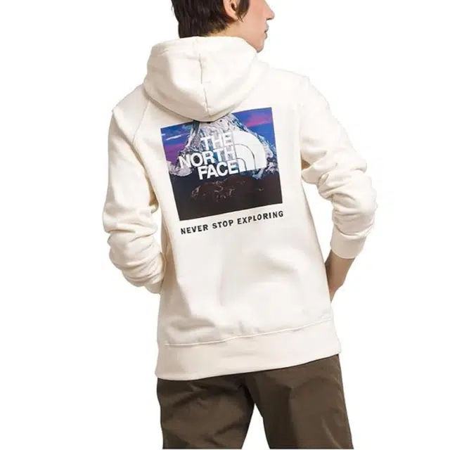 THE NORTH FACE W BOX NSE PO HDIE Logo
