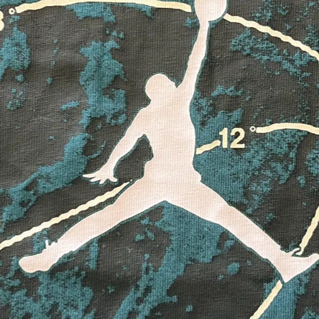 Jordan AirDri-FIT AJ T