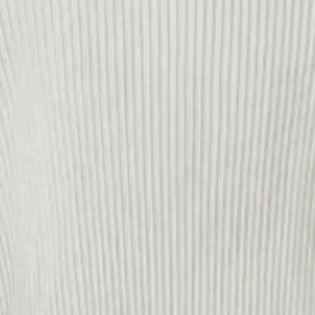 Homme Pliss Issey Miyake FW22 T