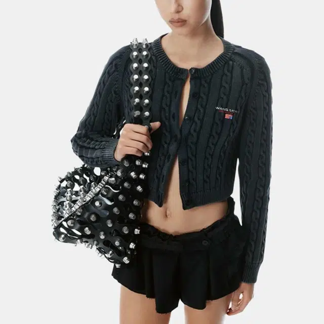 alexander wang SS25 Logo