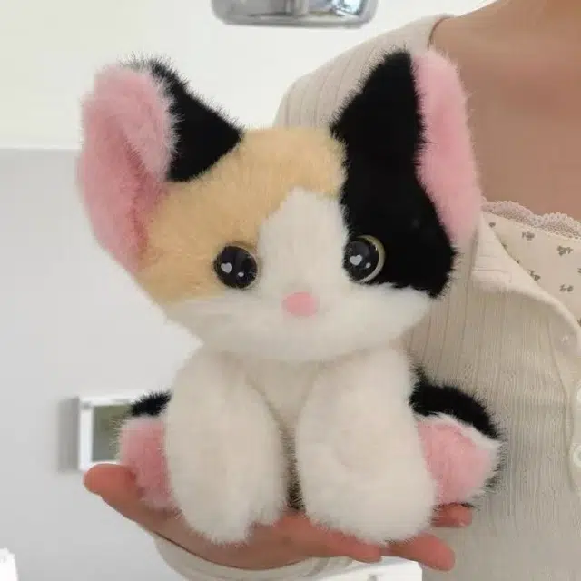 24cm