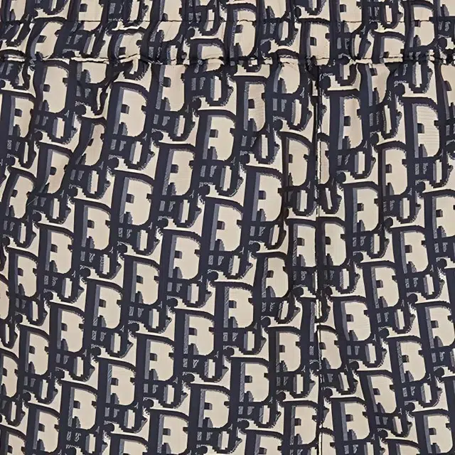 DIOR SS21 Oblique