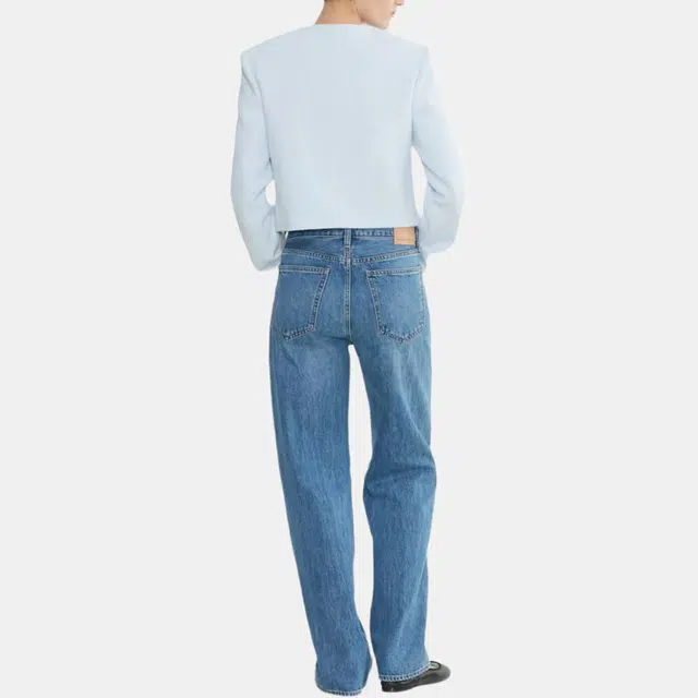 ARITZIA Babaton Anchor Jacket